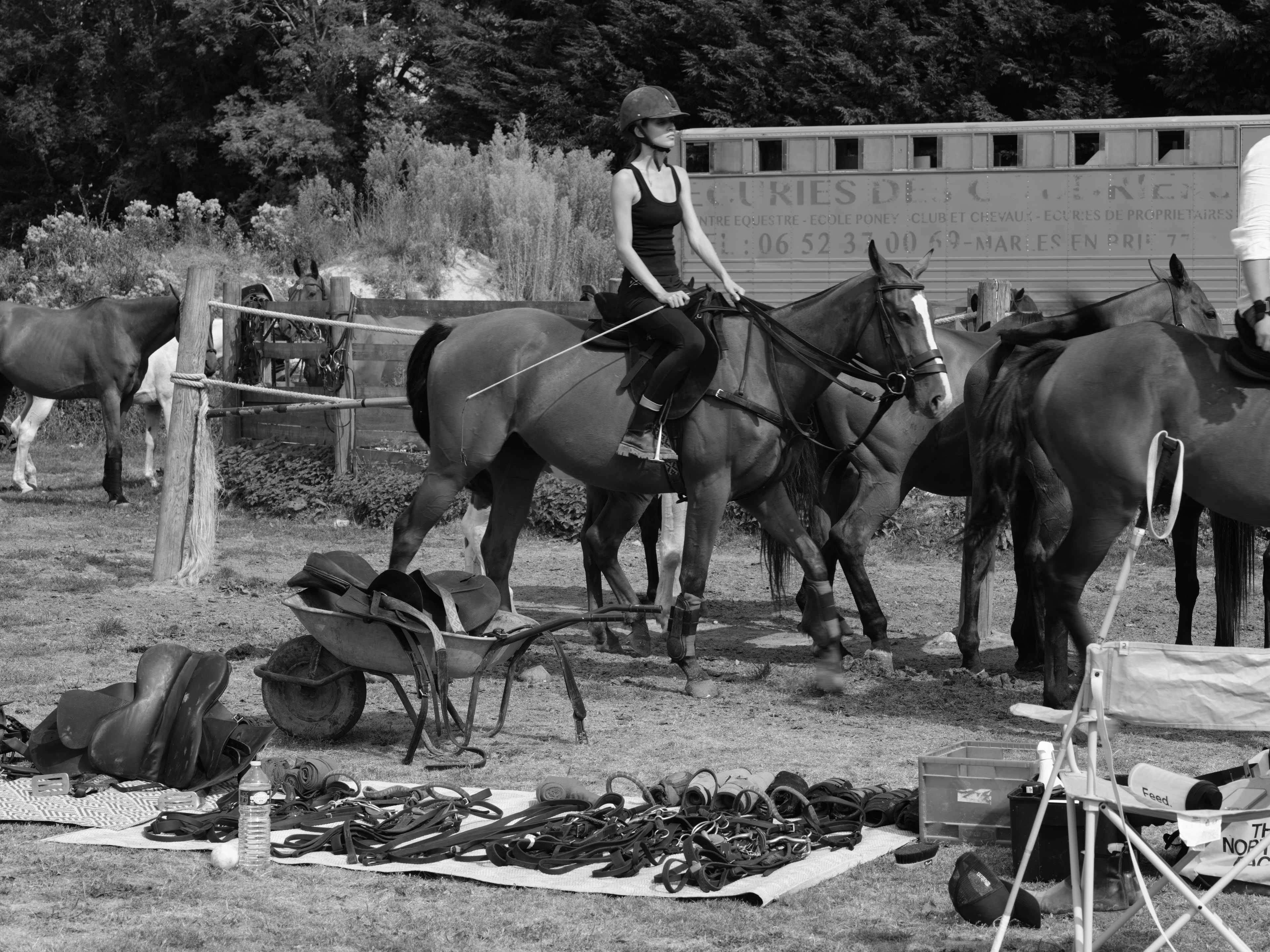 Woman on horseback amid horses and tack laid out on the ground — Été à Saint-André-d'Hébertot, Normandy 2025