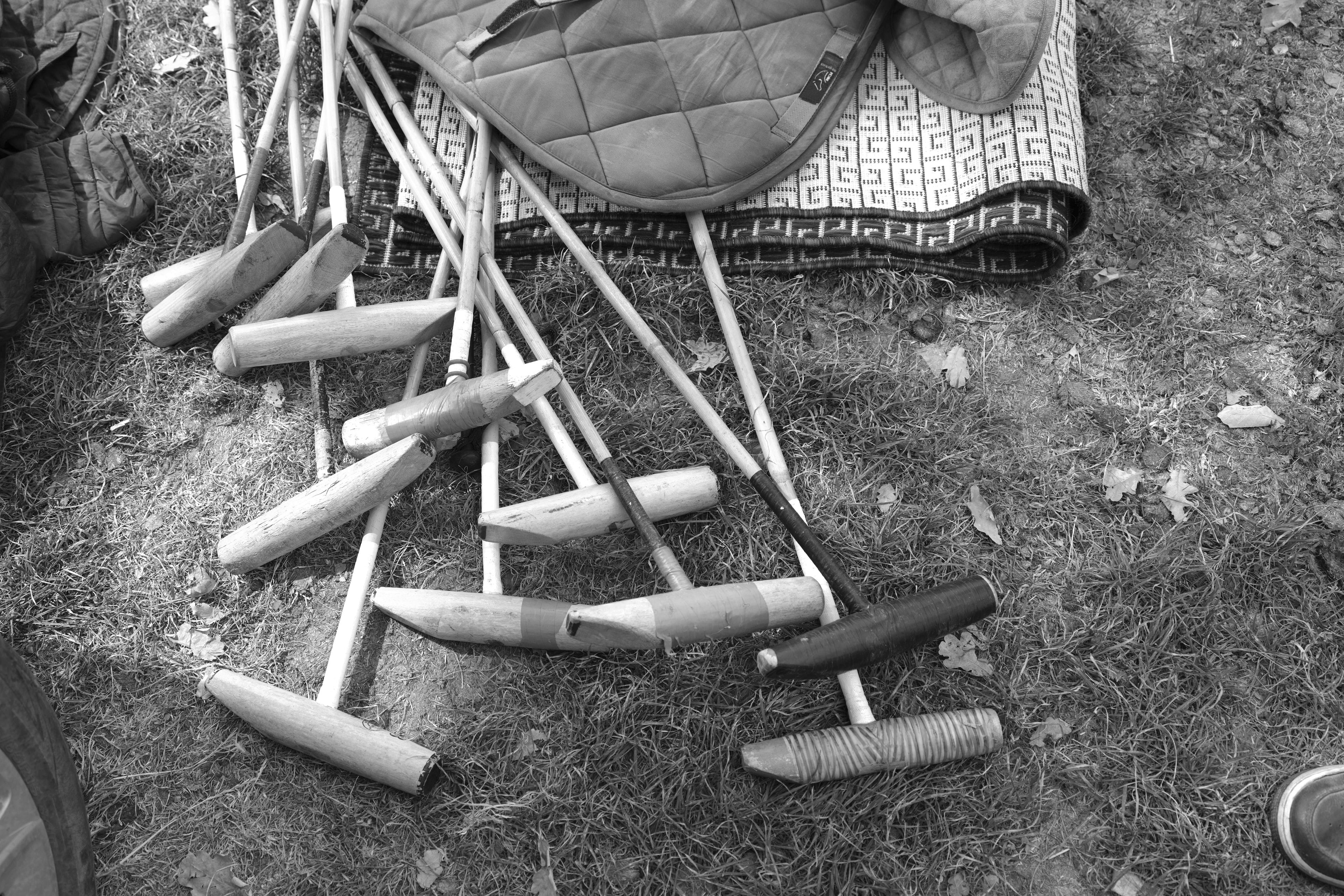 Polo mallets scattered on grass beside a quilted saddle pad — Été à Saint-André-d'Hébertot, Normandy 2025