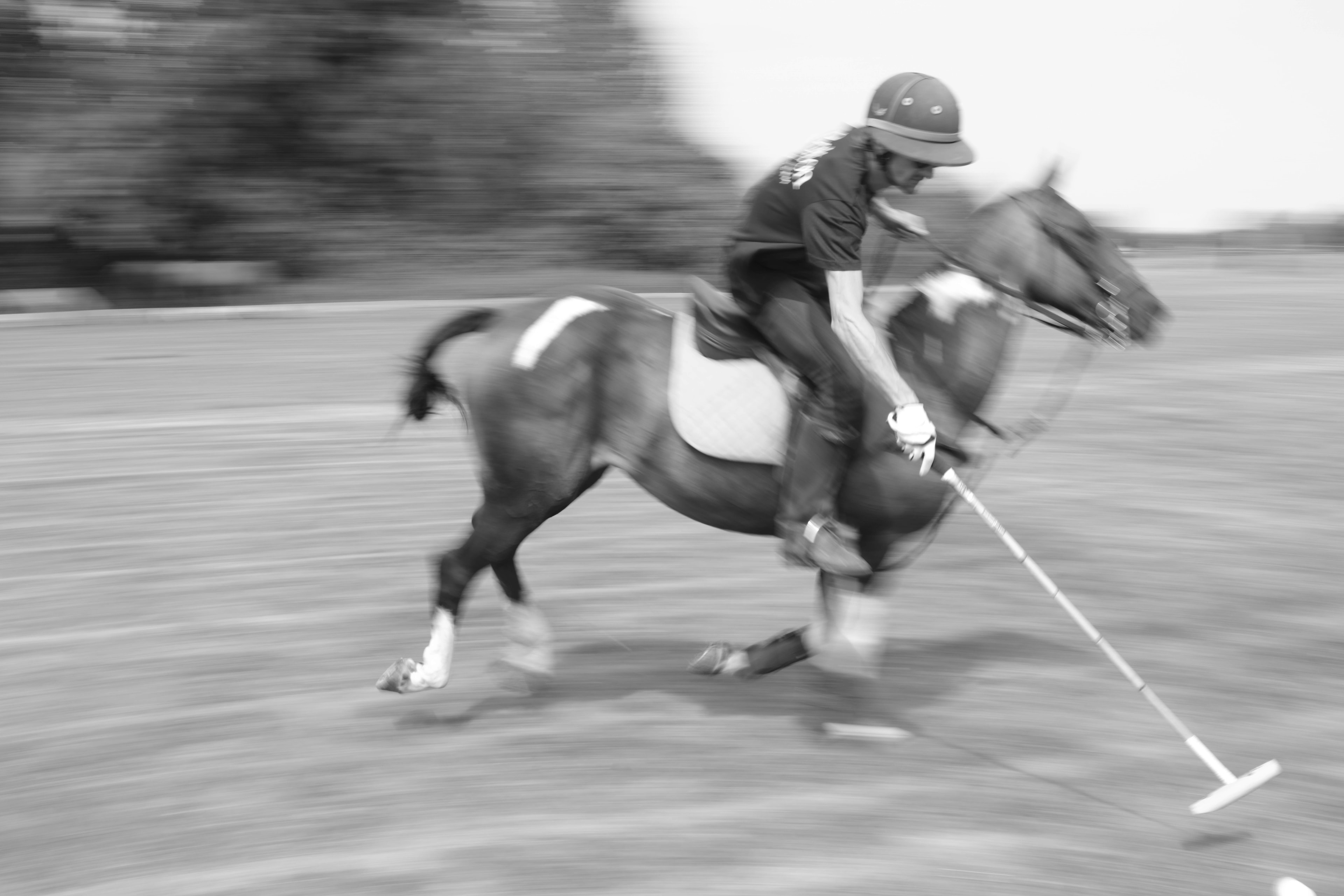 Solo polo player on dark horse, mallet trailing low, motion blur — Été à Saint-André-d'Hébertot, Normandy 2025