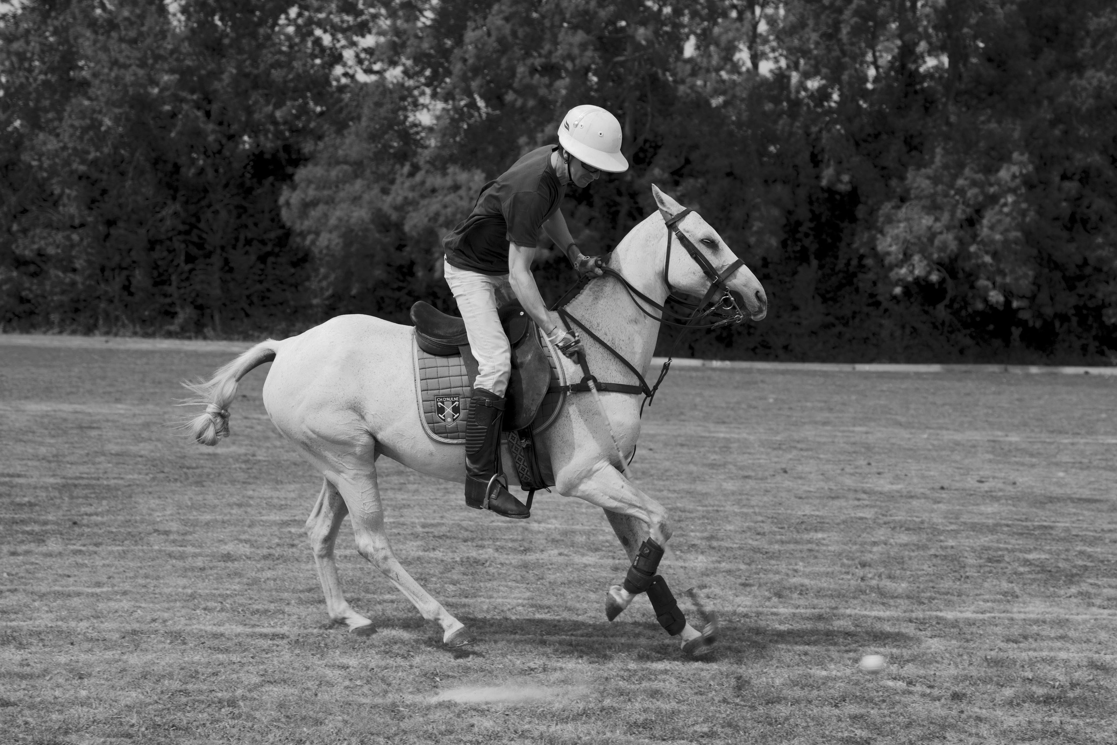 Polo player on horseback mid-swing, ball visible on ground — Été à Saint-André-d'Hébertot, Normandy 2025