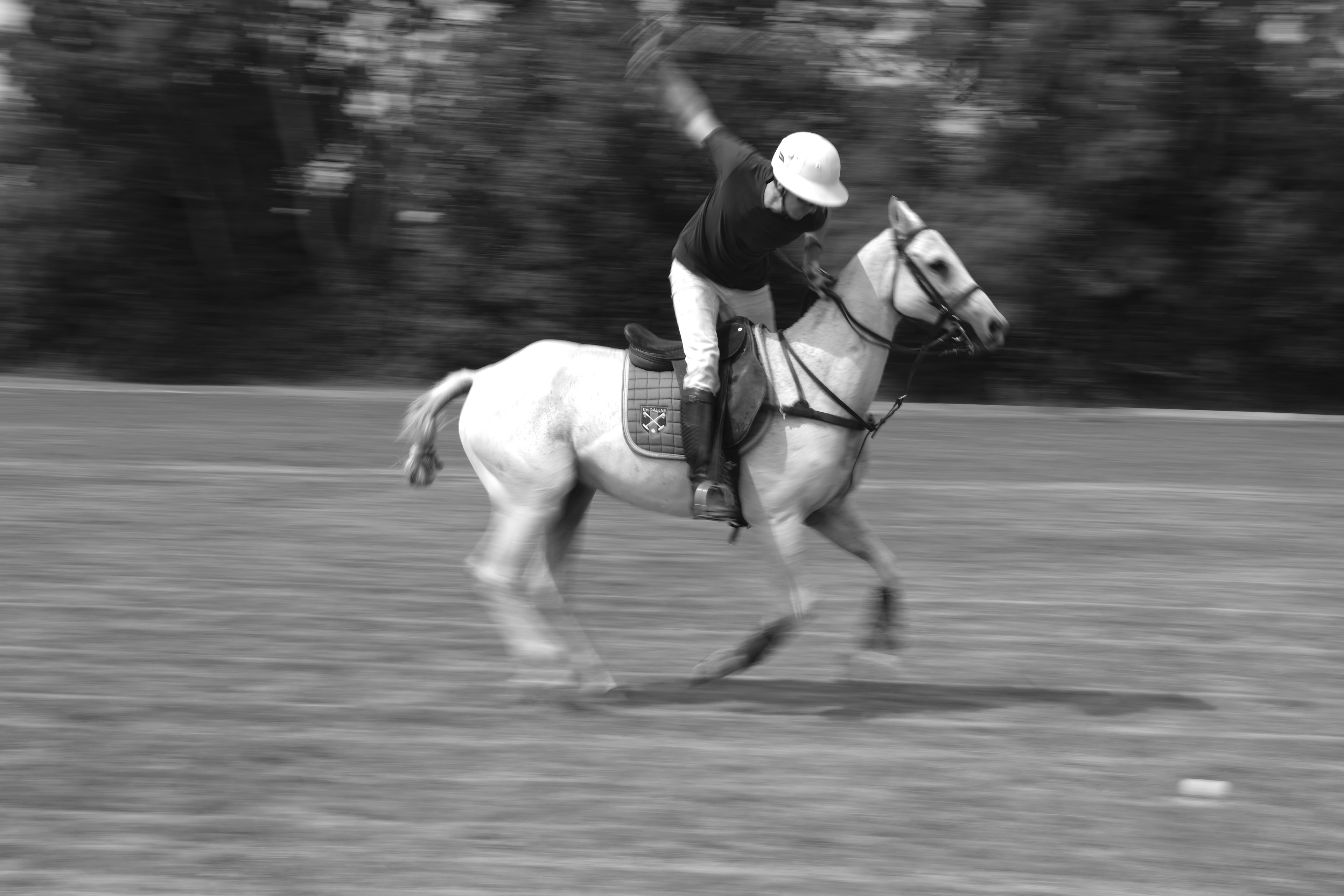 Polo player galloping on white horse, full stride — Été à Saint-André-d'Hébertot, Normandy 2025