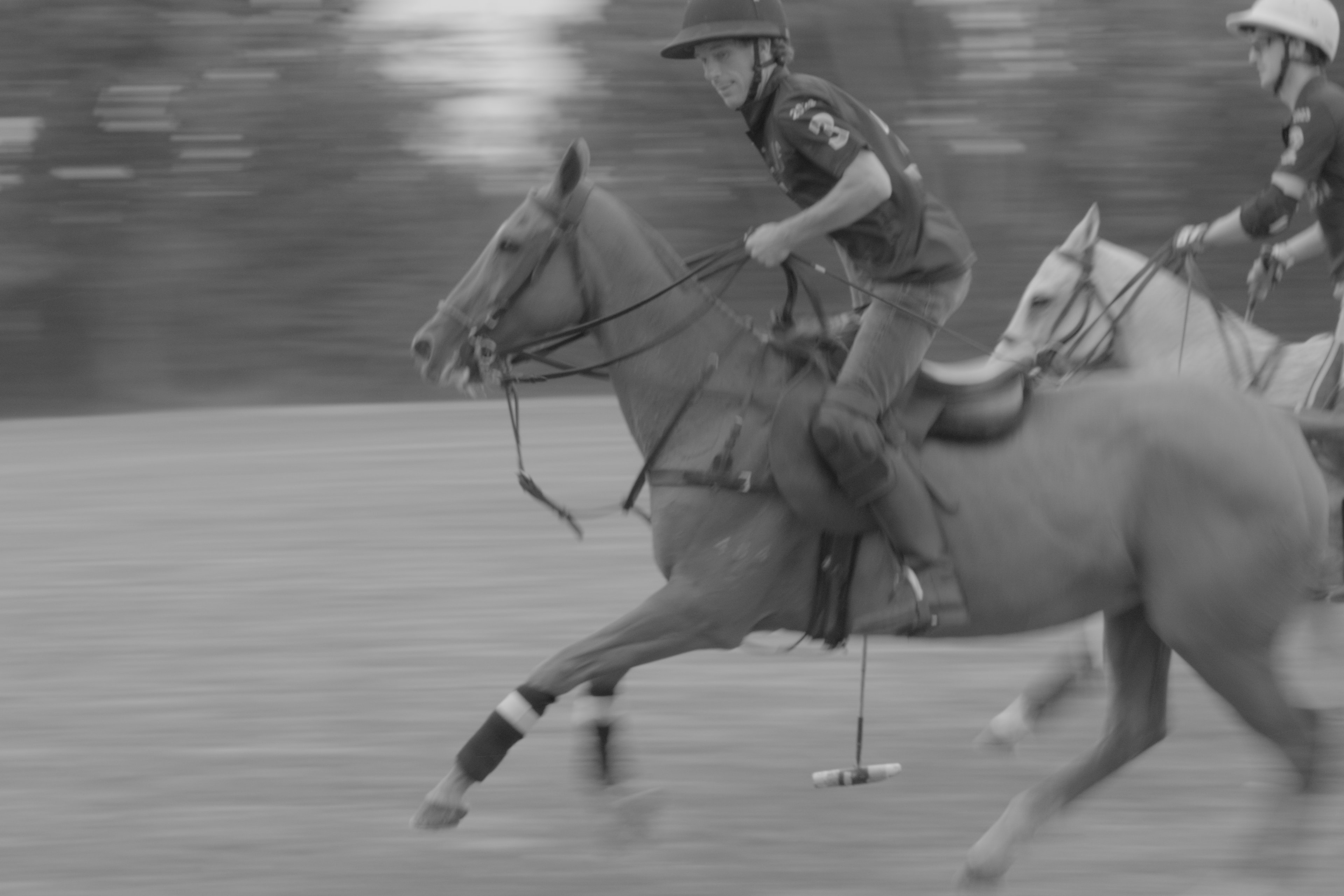 Polo players in action — Été à Saint-André-d'Hébertot, Normandy 2025
